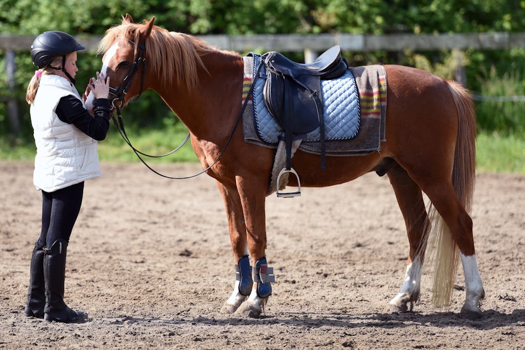 A girl interacts with a horse during outdoor equestrian training, highlighting a bond.